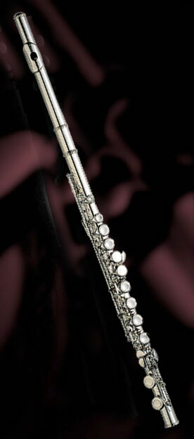 楽天市場】Kaerntner KFL-25 フルート入門完全セット初心者に最適