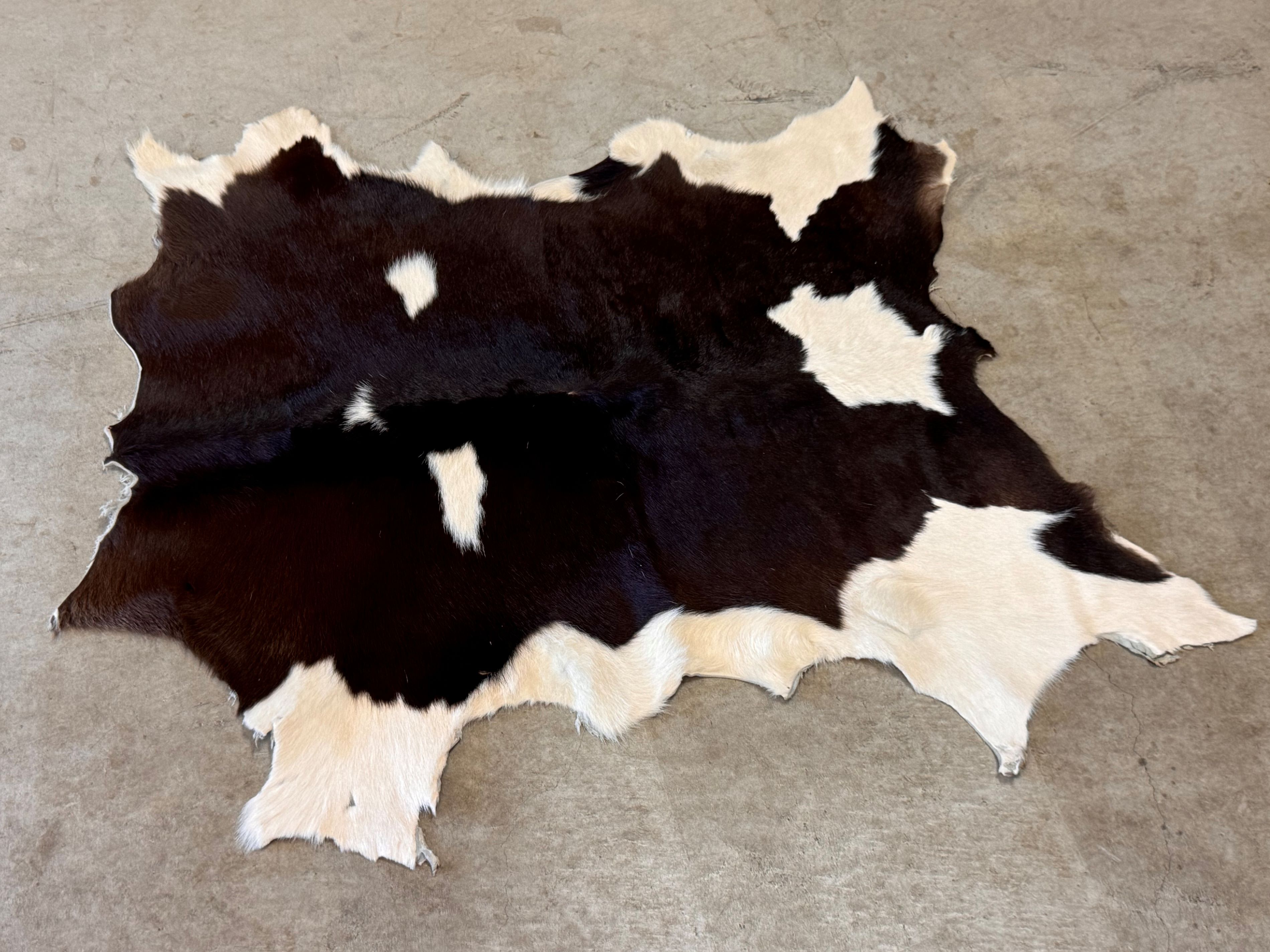 楽天市場】【本物の鹿皮使用】北海道産 えぞ鹿の毛皮ラグ 敷物【上質な