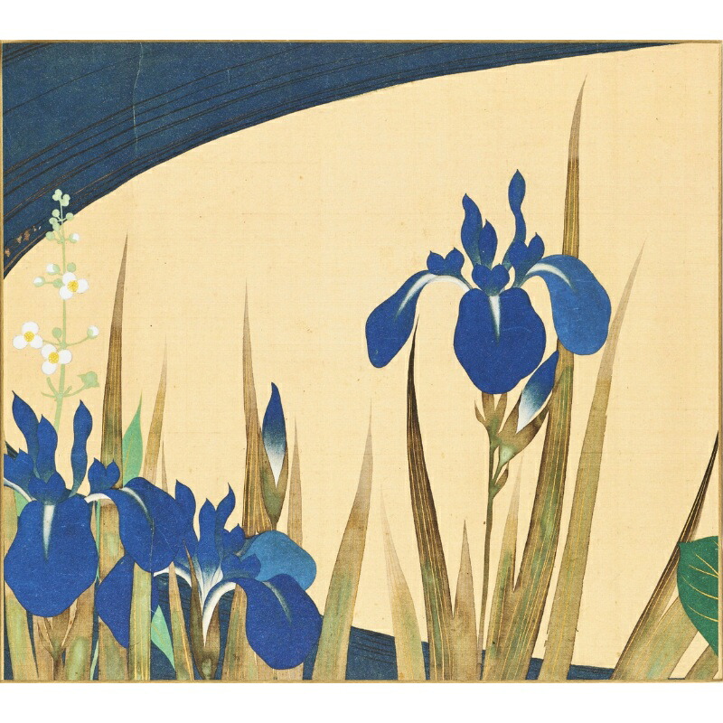 楽天市場】色紙 〈四季花鳥図巻（冬）〉 酒井抱一筆 : 京都便利堂 楽天