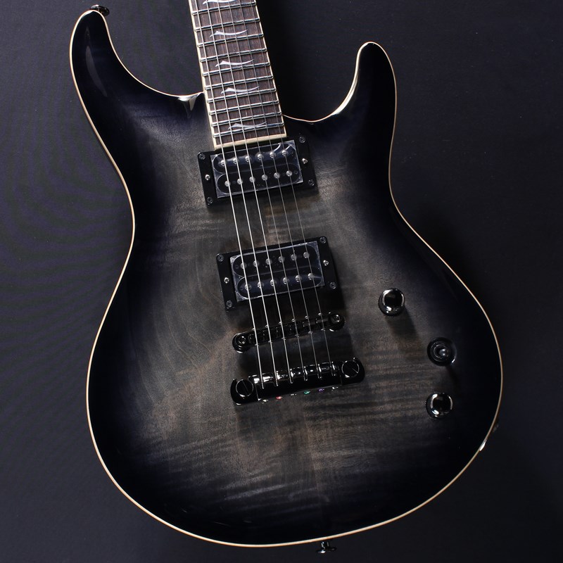 楽天市場】FUJIGEN Expert ELAN EEL-FM/TKS (Transparent Black