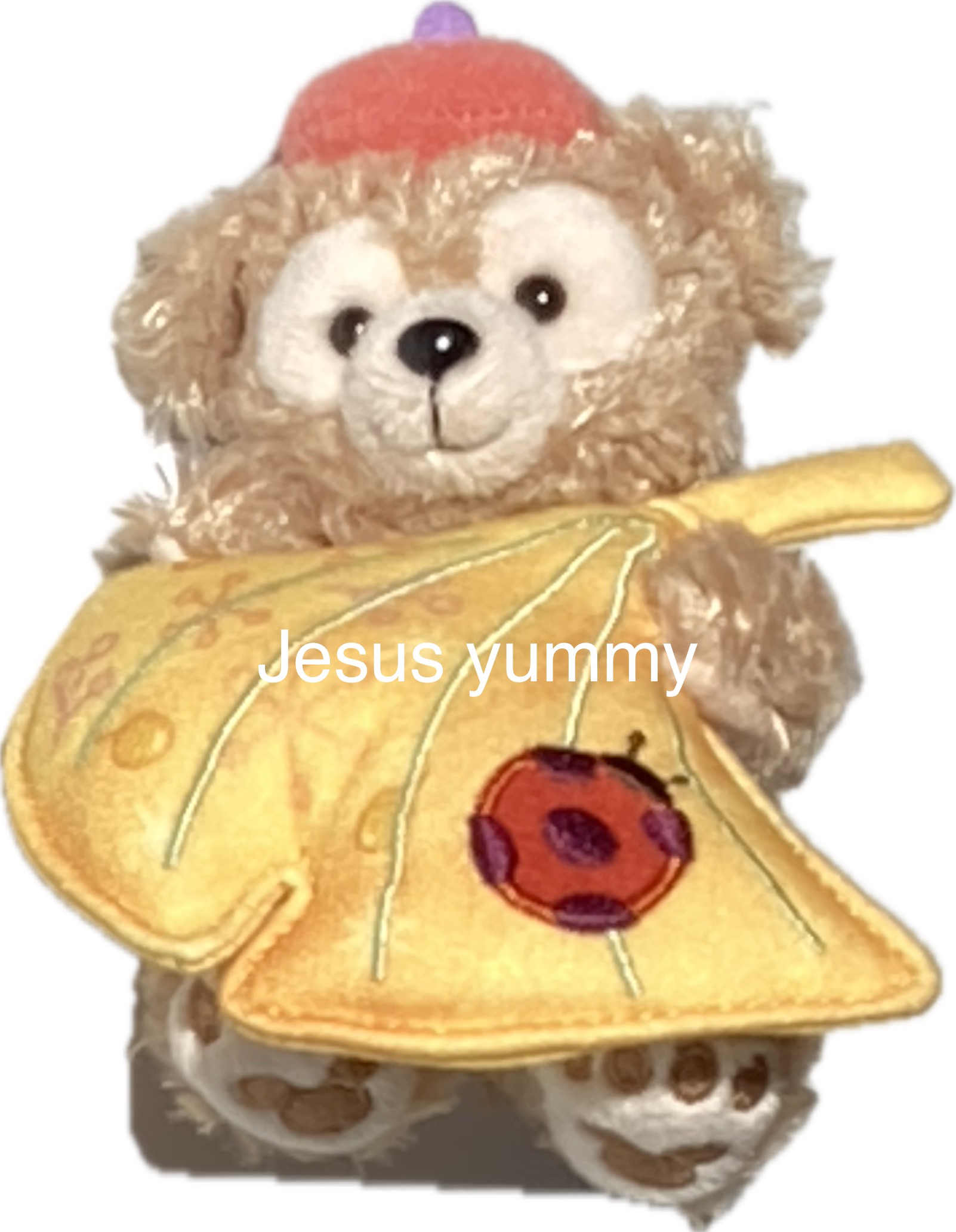 楽天市場】ダッフィー ぬいぐるみ チャーム ウィッシング・ウィングス