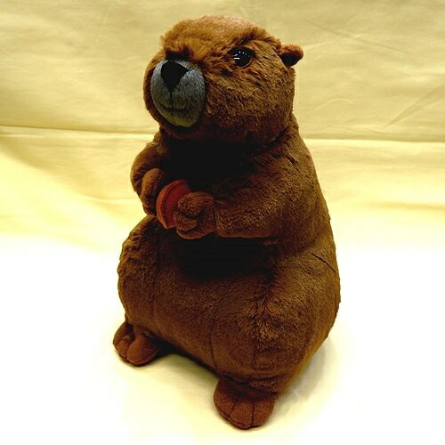 楽天市場】ケーセン ぬいぐるみ Kosen マーモット 34cm Murmeltier