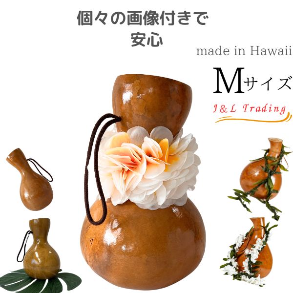 楽天市場】イプ Lサイズ フラ フラダンス 楽器 ハワイ ハワイアン