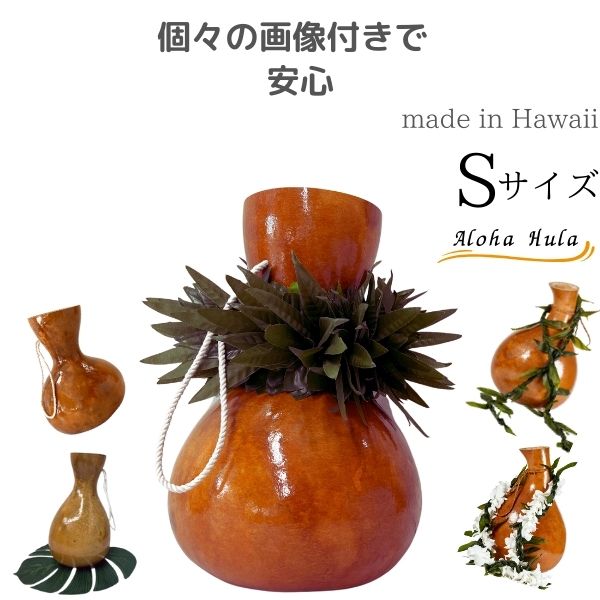 楽天市場】イプ Sサイズ フラ フラダンス 楽器 ハワイ ハワイアン