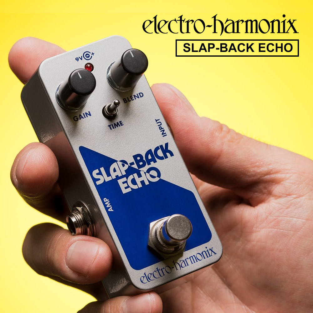 楽天市場】【ピック10枚セット付き！ 】Holy Grail(ホーリーグレイル