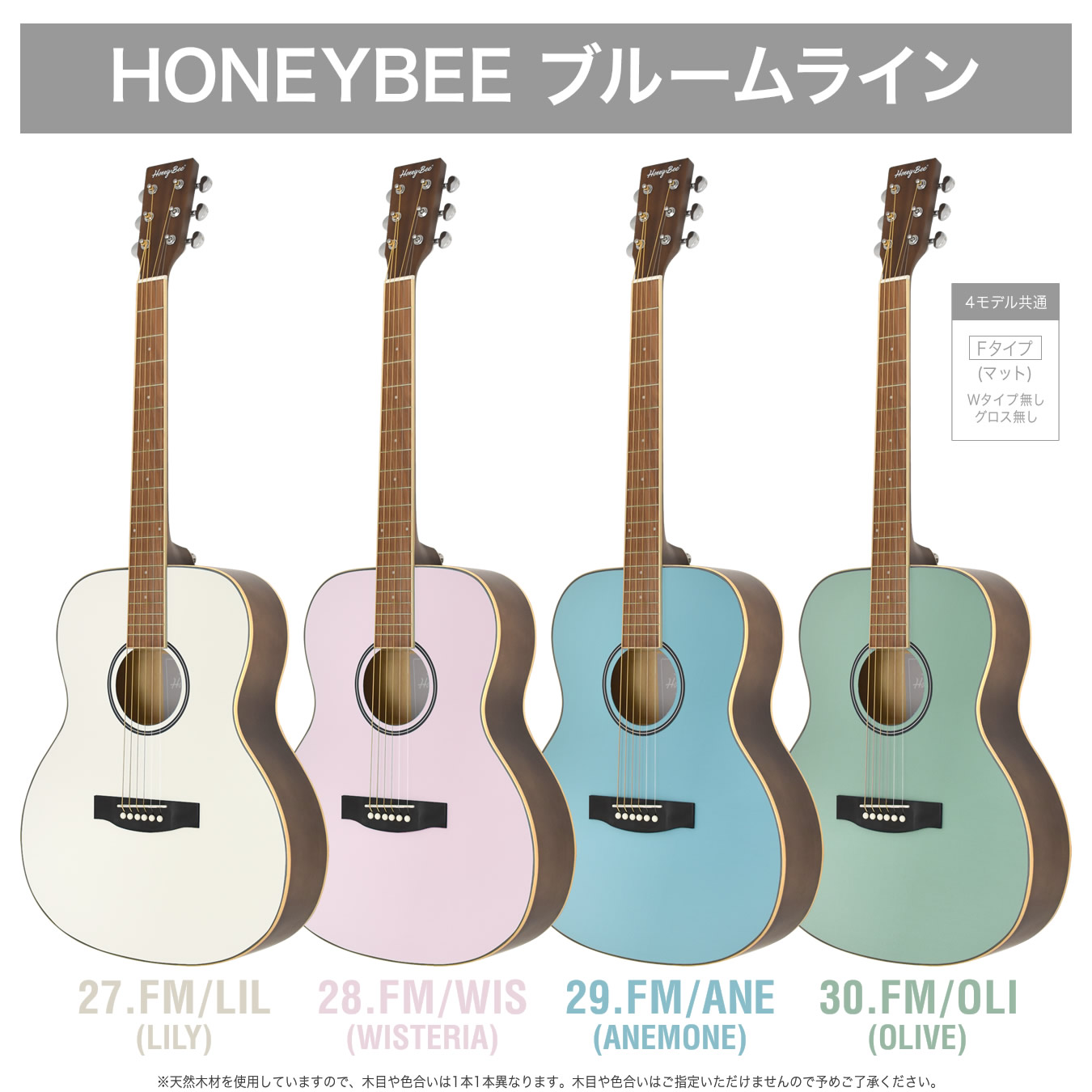 アコースティックギター 16点 初心者セット HONEY BEE W-15/F-15