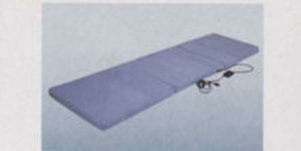 楽天市場】トラック 蓄熱マット NEW 一休さん DC24V専用 三ツ折タイプ