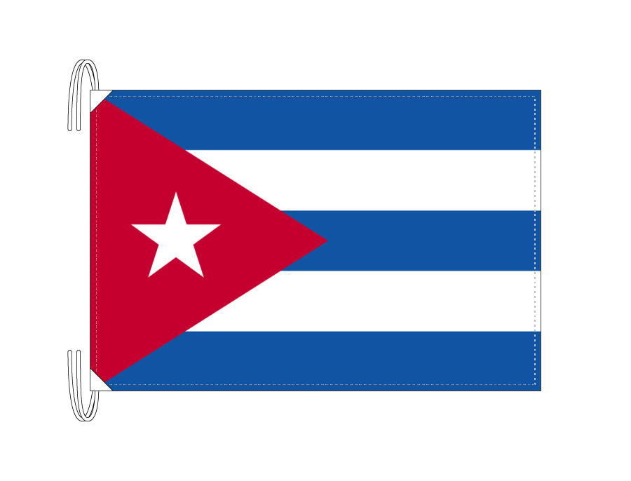 楽天市場】TOSPA プエルトリコ 自治連邦区 旗 Lサイズ 50×75cm