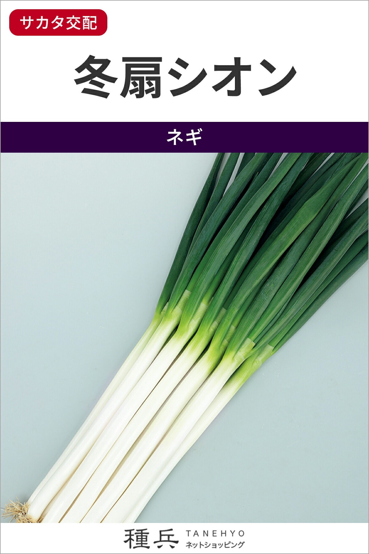 楽天市場】根深ネギ 種 『初夏一文字』 ANE076 タキイ種苗 : 種兵