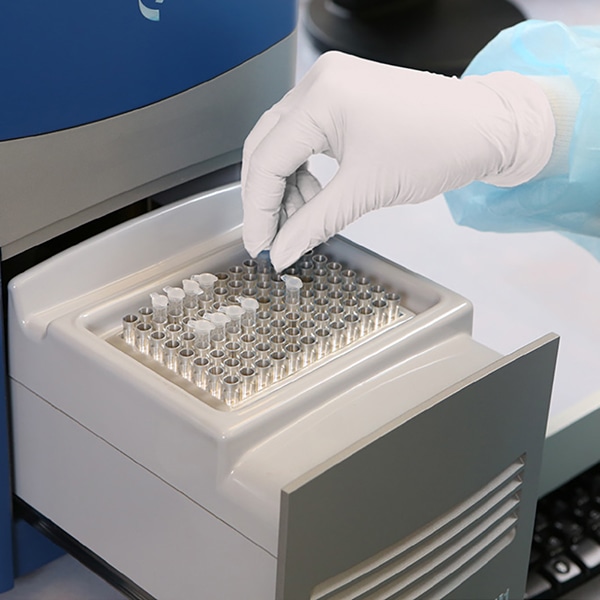 サラヤ｜ニトリルグローブエクステンド 200枚入 ホワイト Mサイズ