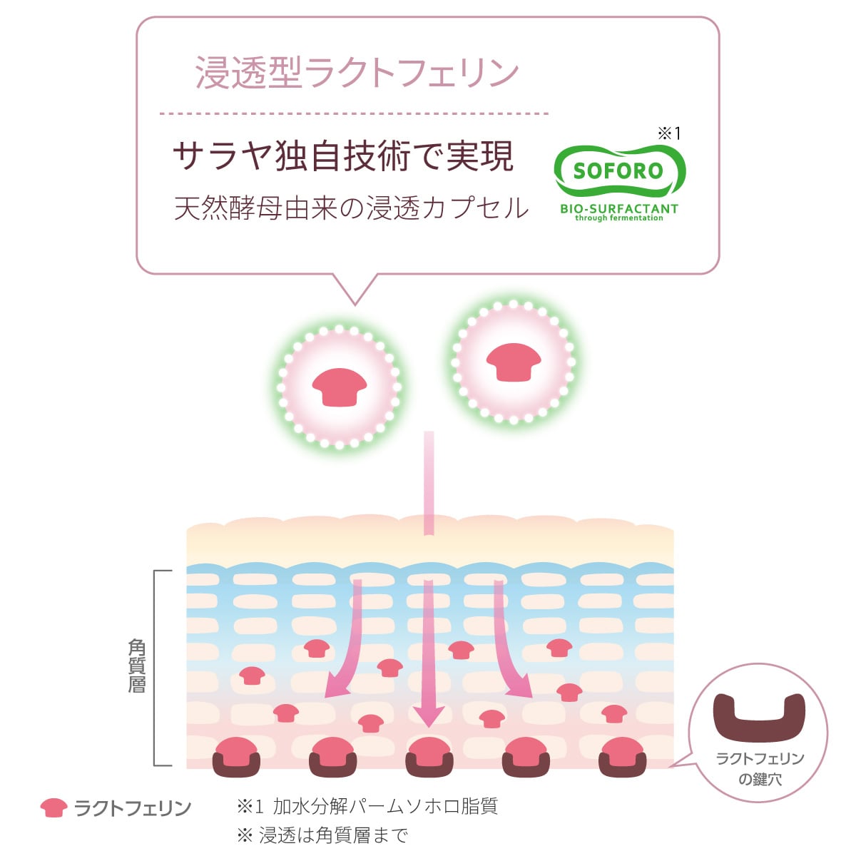 サラヤ｜ラクトフェリン ラボ ブースター モイストローション 120mL