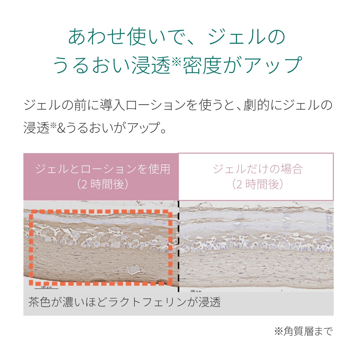 サラヤ｜ラクトフェリン ラボ うるおいリフトプラス ジェルレフィル