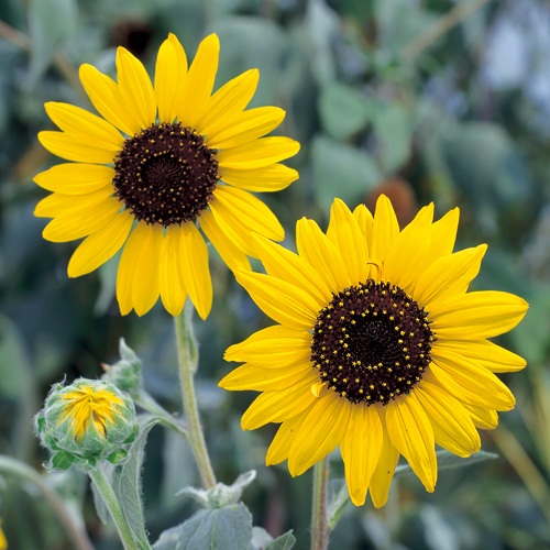 733-FHM114.jpg?202603041439