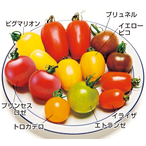 733-NEX992.jpg?202602031613