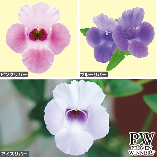 733-NHA537.jpg?202603041439