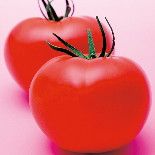 739-ATM06N.jpg?202602031613