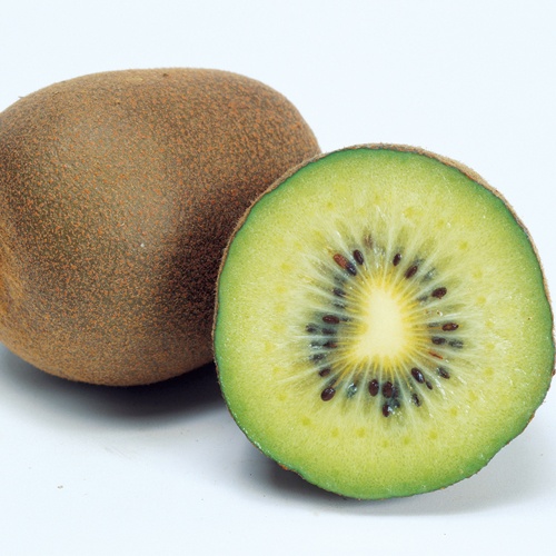 キウイフルーツ・ゴールデンイエロー＆孫悟空 セット| 種・苗