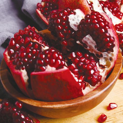 ザクロ・ペルシャブラック| 種・苗・ガーデニング用品の【タキイネット