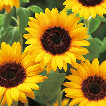 785-FHM602.jpg?202602031613