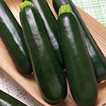 シンビジューム・ワインシャワー アーチ仕立て3本立| 種・苗