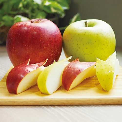 マルシェ 青森県産 黄王＆サンつがる| 種・苗・ガーデニング用品の