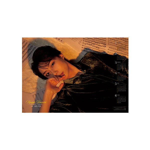 2026年宝塚ポスターカレンダー<風色日向>: カレンダー・スケジュール帳