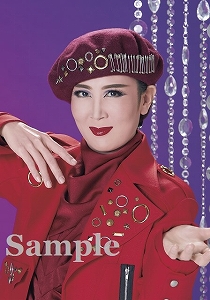 ブロマイドオーダーサービス/2025年公演/『ROBIN THE HERO