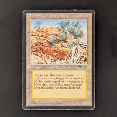 Diamond Valley - Arabian Nights