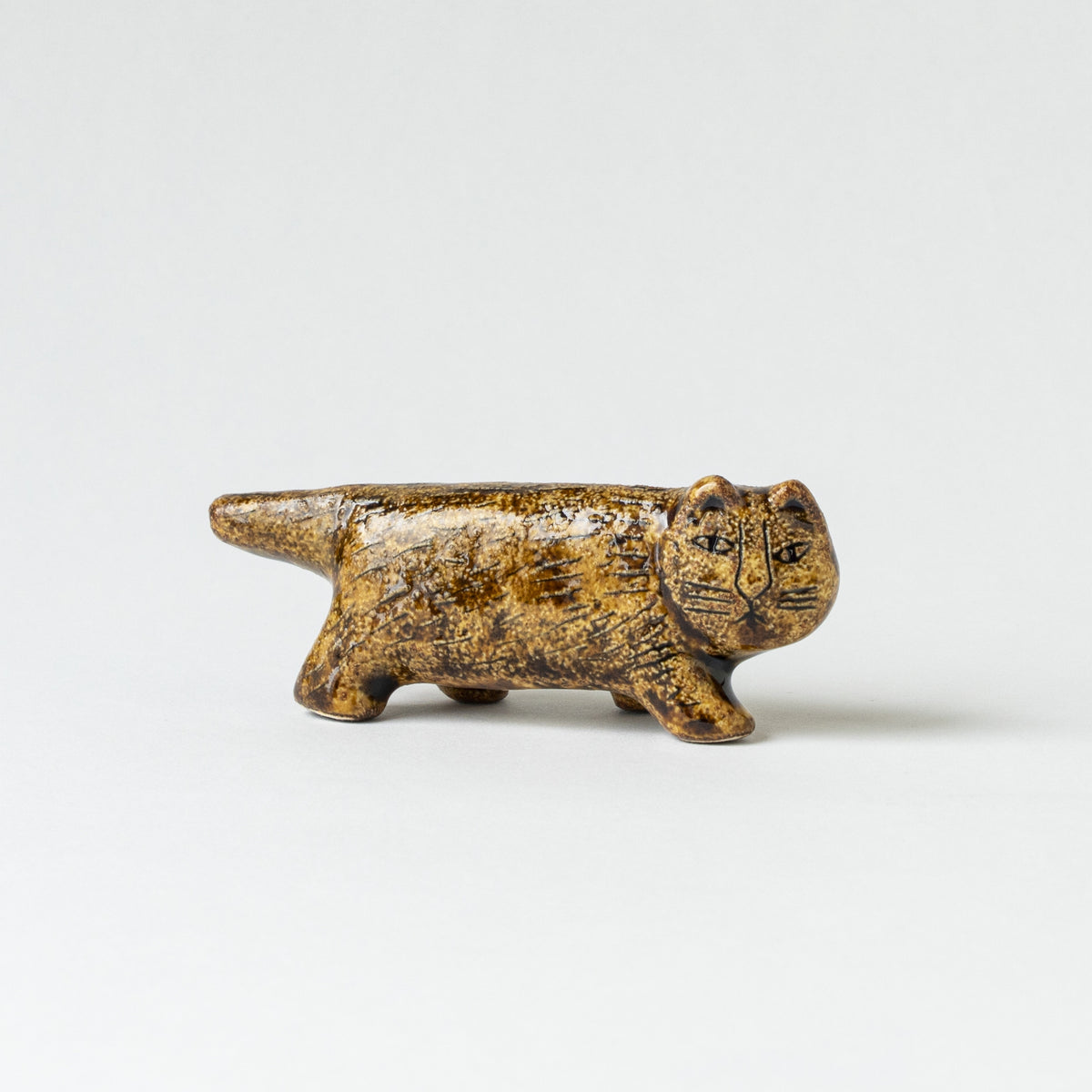 にっぽんのリサ猫（六番、丹波）つちまさ