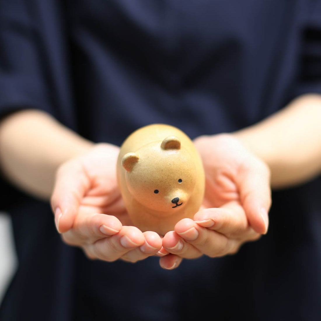 3_000000000760_1100x.jpg?v=