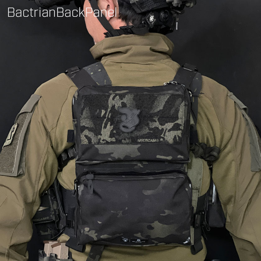 Bactrian Back Panel – VOLK TACTICAL GEAR