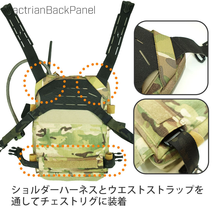 Bactrian Back Panel – VOLK TACTICAL GEAR