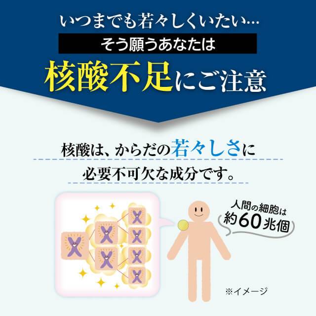 わかさのDNA核酸(今回のみ): サプリメント｜わかさ生活ショッピング