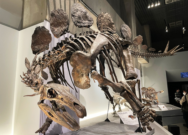 国立科学博物館 特別展「恐竜博2023」内覧会レポート | 上野が、すき。
