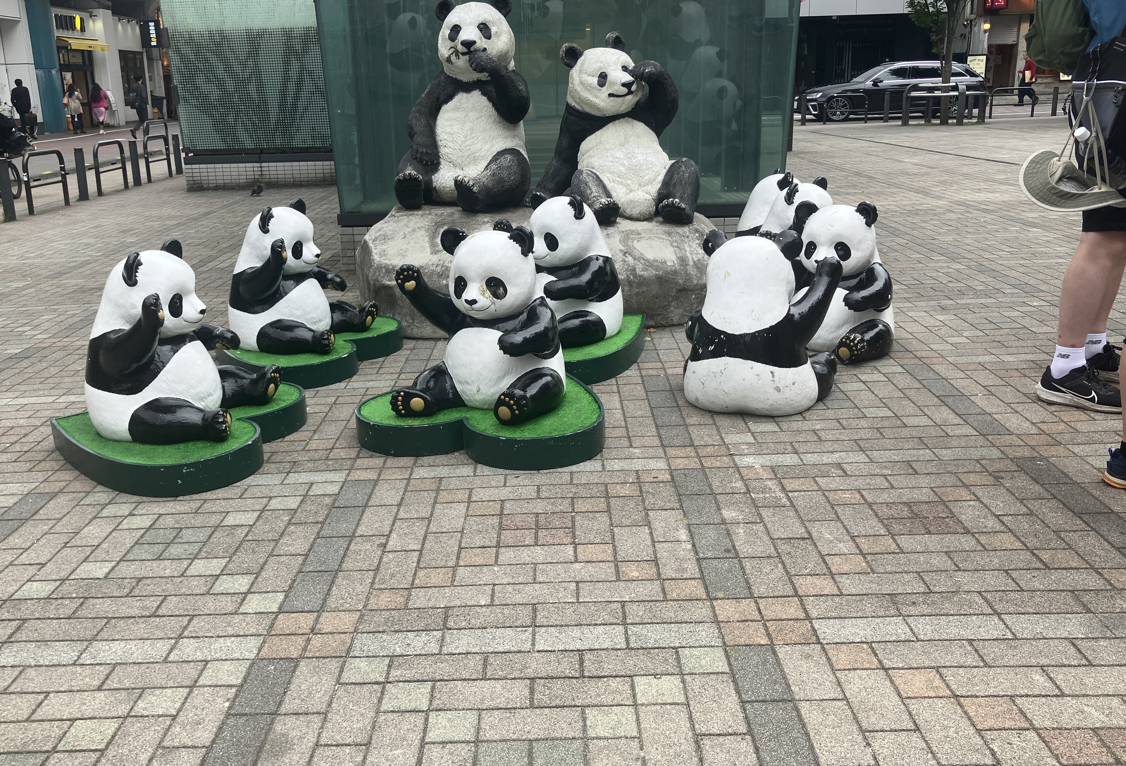 ほぼまいにちパンダ | 上野が、すき。