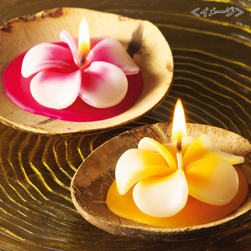 プルメリアキャンドル6個セット | JTBショッピング