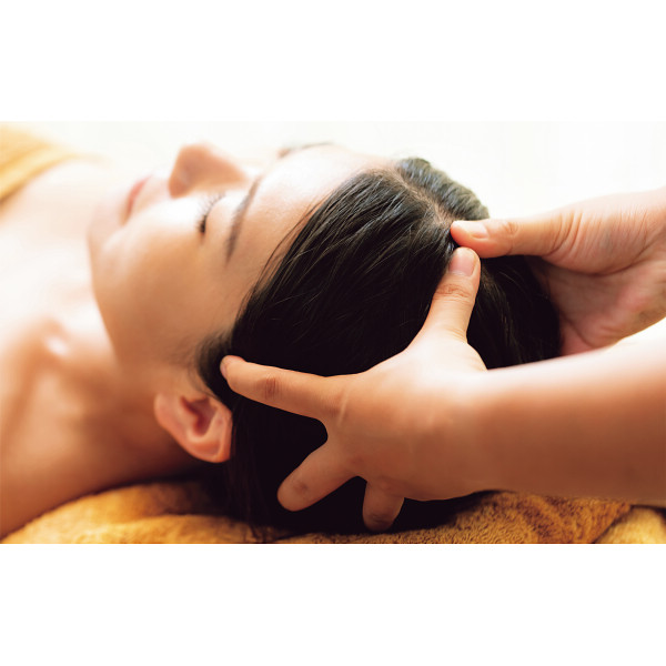 リファビューテック ヘッドスパブラック | シャディギフトモール