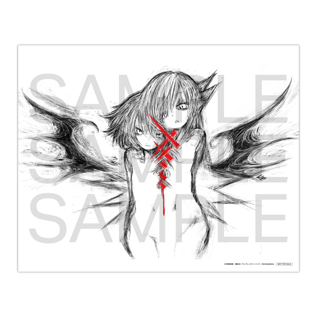 Blu-ray】「撫物語」第二巻 / なでこドロー(下)【完全生産限定版