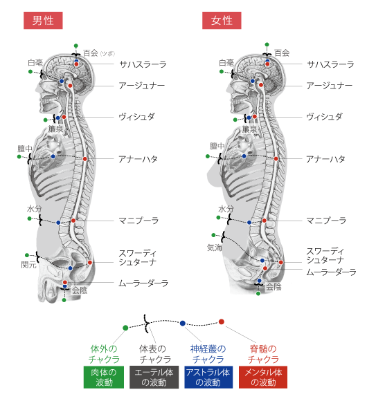 アージュナー・チャート (スーリヤ・アージュナー・チャートと
