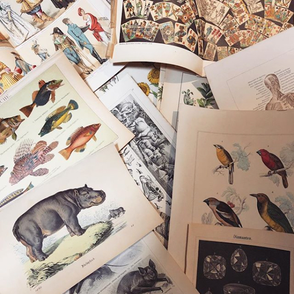 アンティークと古書店、コラージュによる想像の旅／M!DOR! - She is