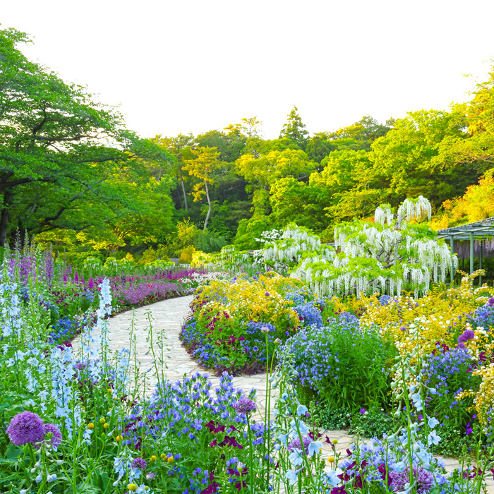 浜名湖花博2024 はままつフラワーパーク会場！ | 静岡県信用金庫協会
