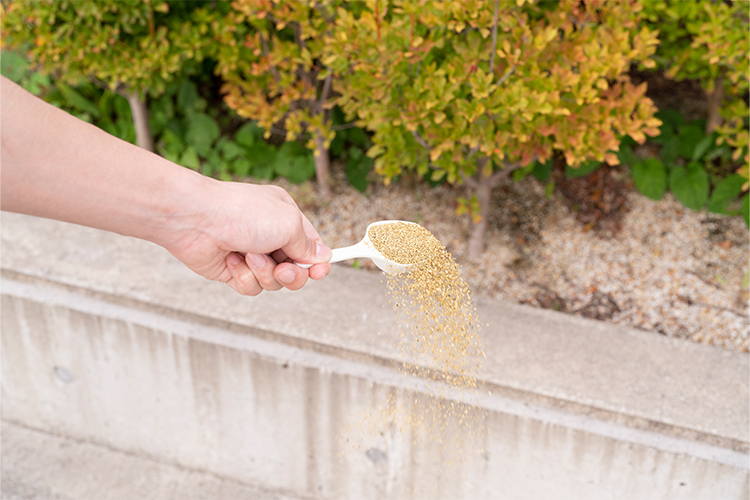 のらネコ忌避剤 SR-4 分包2kg | 株式会社SHIMADA