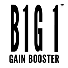 B1G 1 Gain Booster