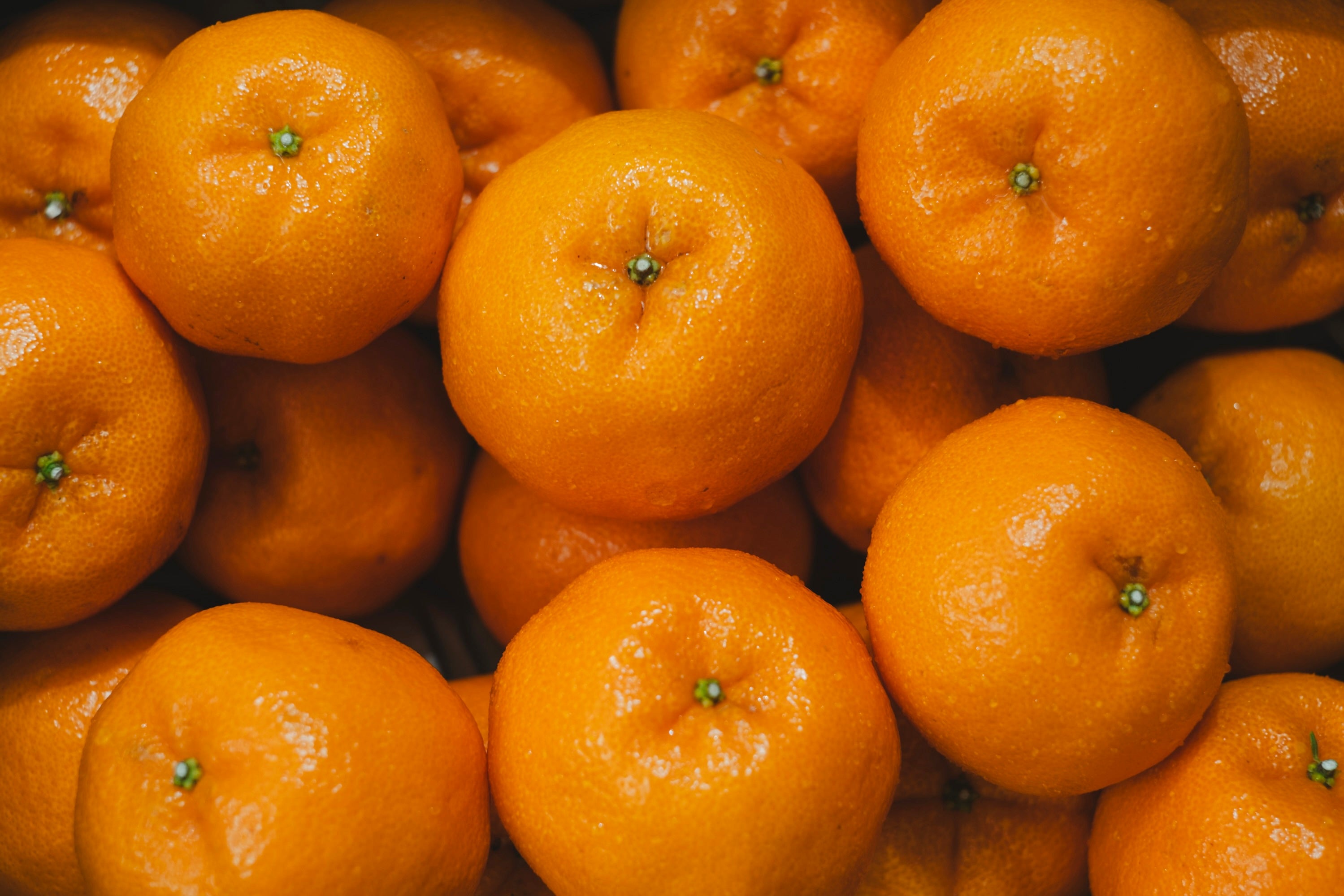 ぽんかん｜新口農園｜オンラインショップ – SHINGUCHI FARM