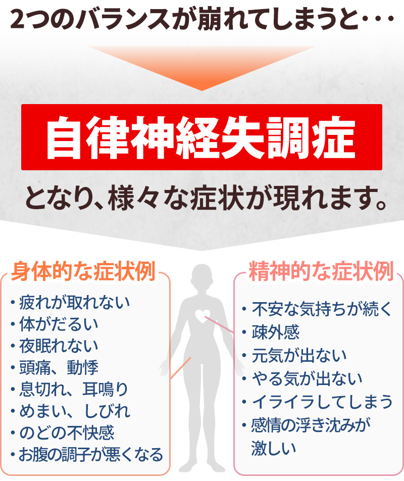 自律神経系統図 カイロプラクティックパネル 美容パネル 収納袋付き