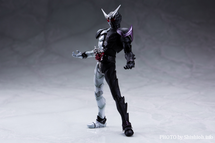 2017年5月24日【今日のフォトショット!】S.I.C 仮面ライダーW