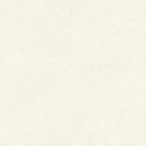 シンコール | BA7139 | 2024 BIG ACE