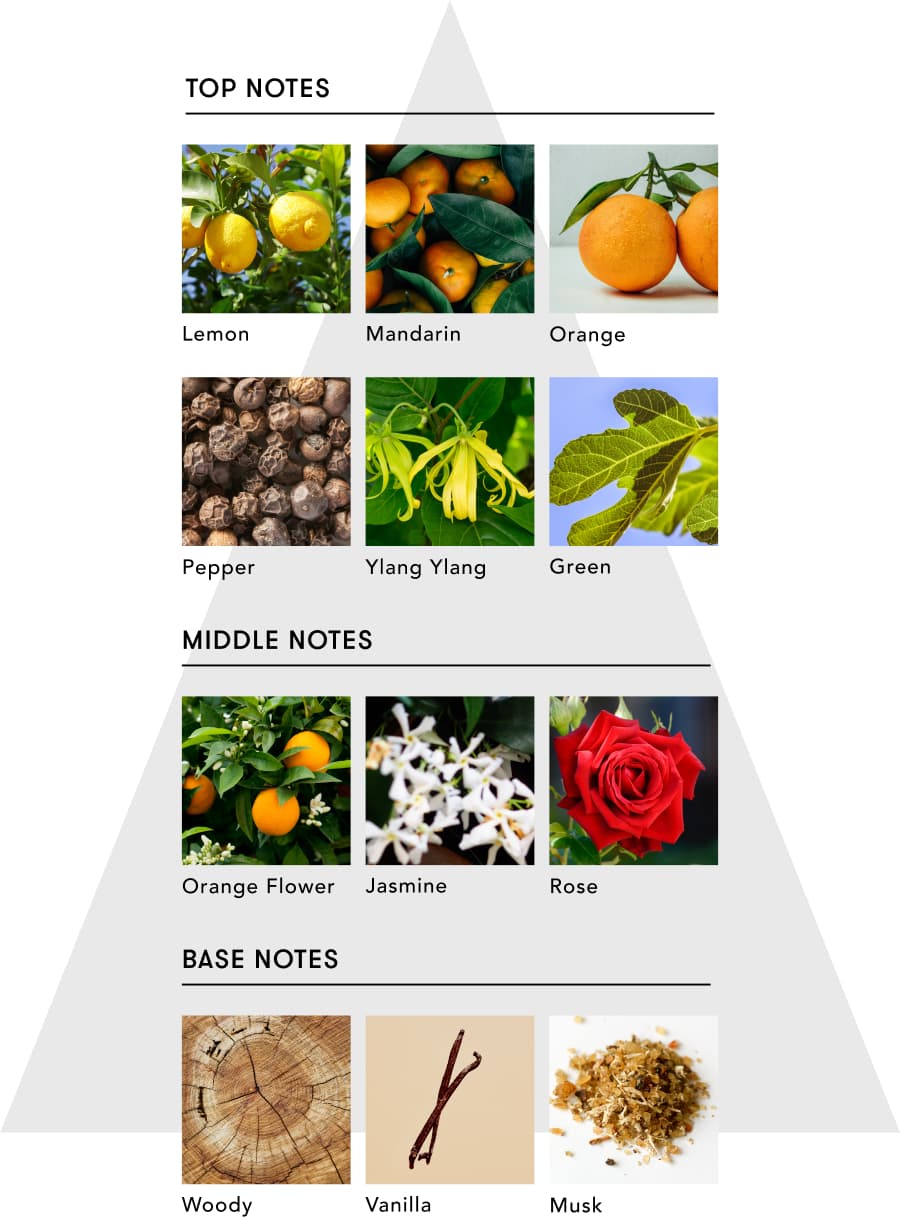 商品詳細ページ | SINN PURETE（シン ピュルテ）公式オンラインストア