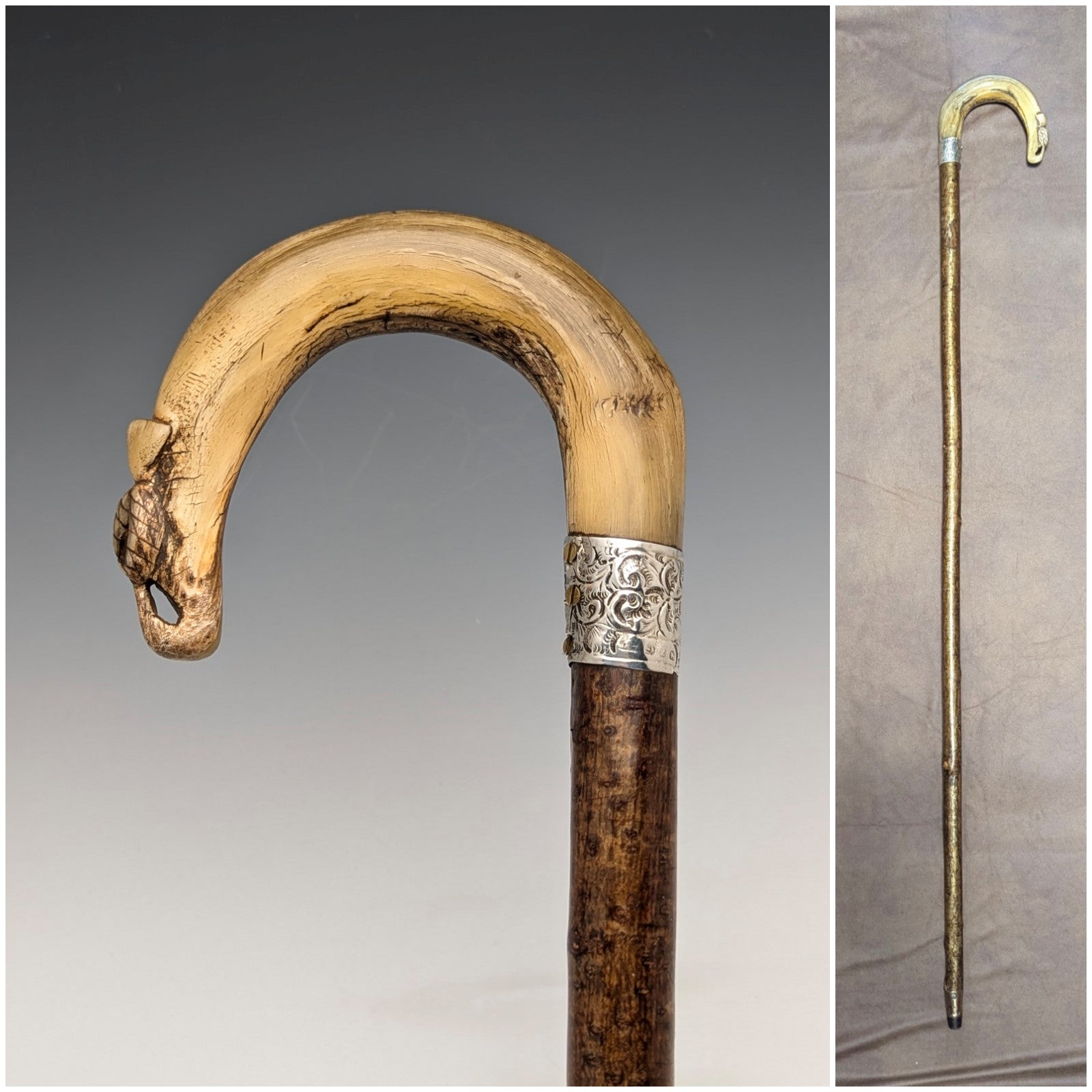 1899年 英国アンティーク 紳士用 純銀装飾 ホーンハンドル ステッキ 杖