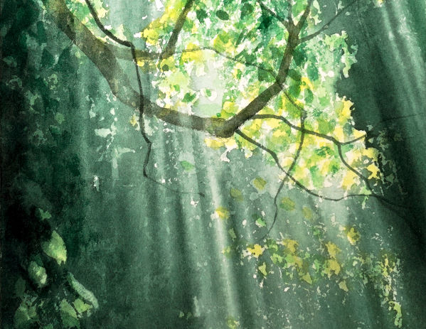 透明水彩で描く森の光 - 横浜のアートスタジオ／Sissi（シシ）